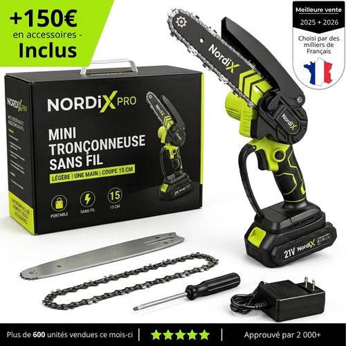 Mini Tronçonneuse NordiX