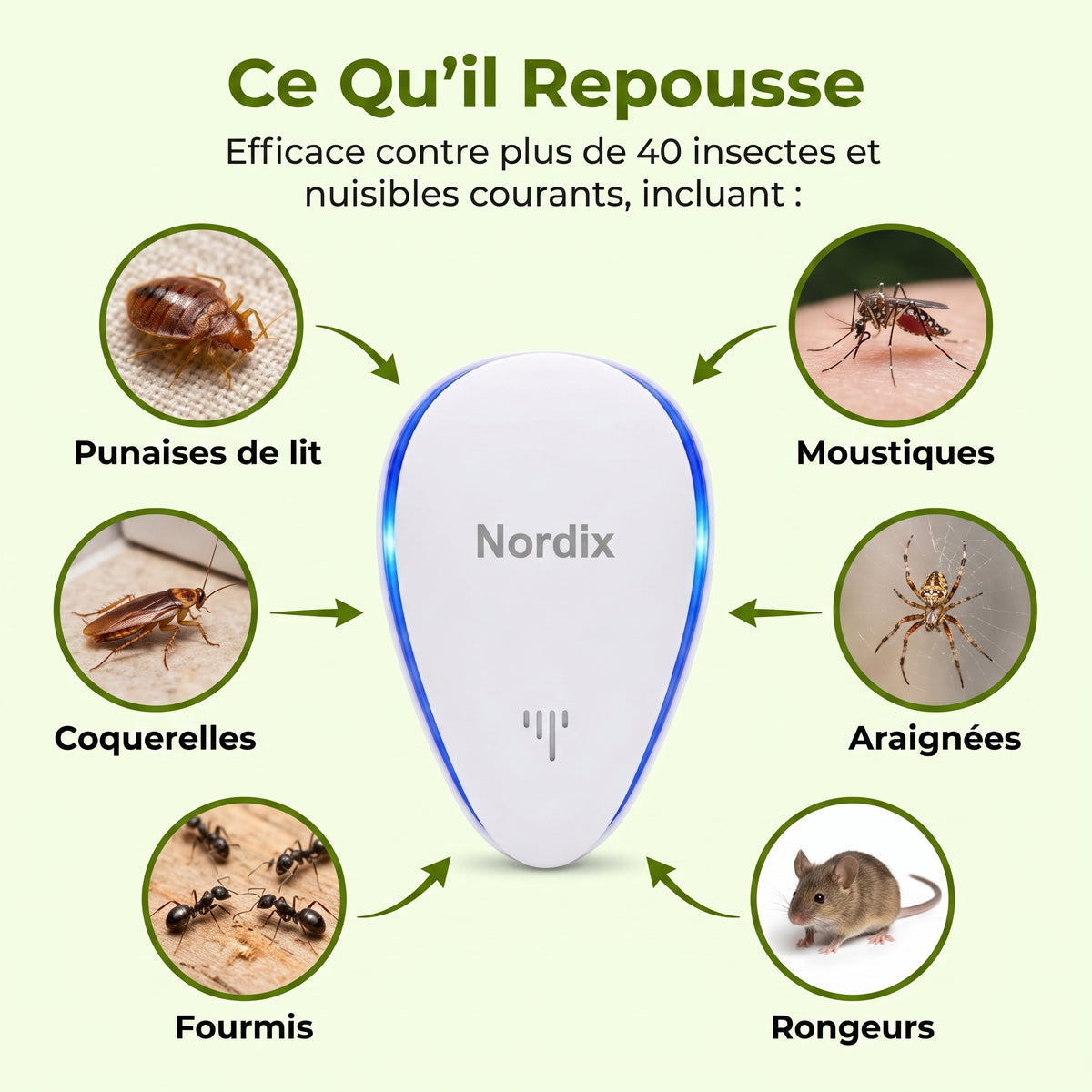 Répulsif Anti-Insectes Amélioré — Éliminez les Insectes pour de Bon