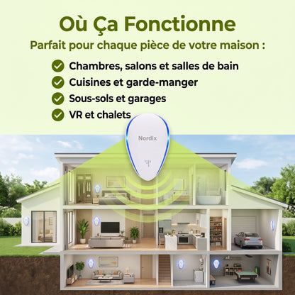 Répulsif Anti-Insectes Amélioré — Éliminez les Insectes pour de Bon