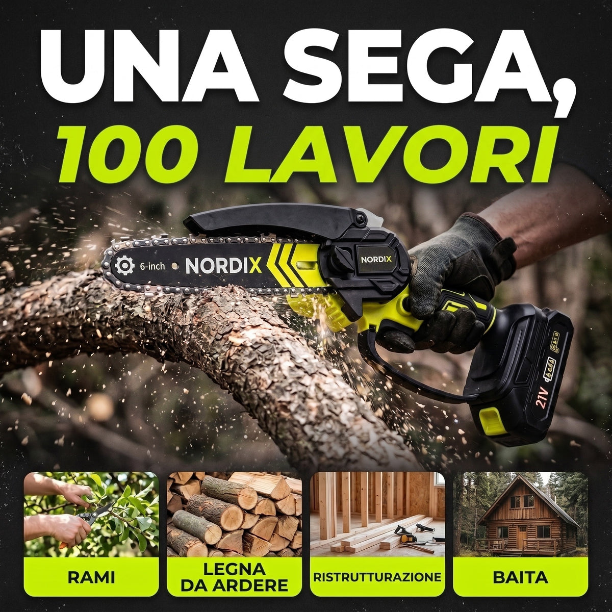 Una sega, 100 lavori: rami, legna da ardere, ristrutturazione, baita