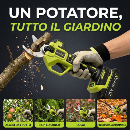 Un potatore, tutto il giardino: alberi da frutto, siepi e arbusti, rosai, potatura autunnale